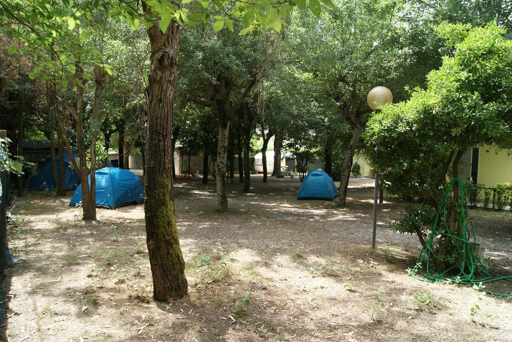 Camping Dolce Sole Marina di Massa Bilik gambar