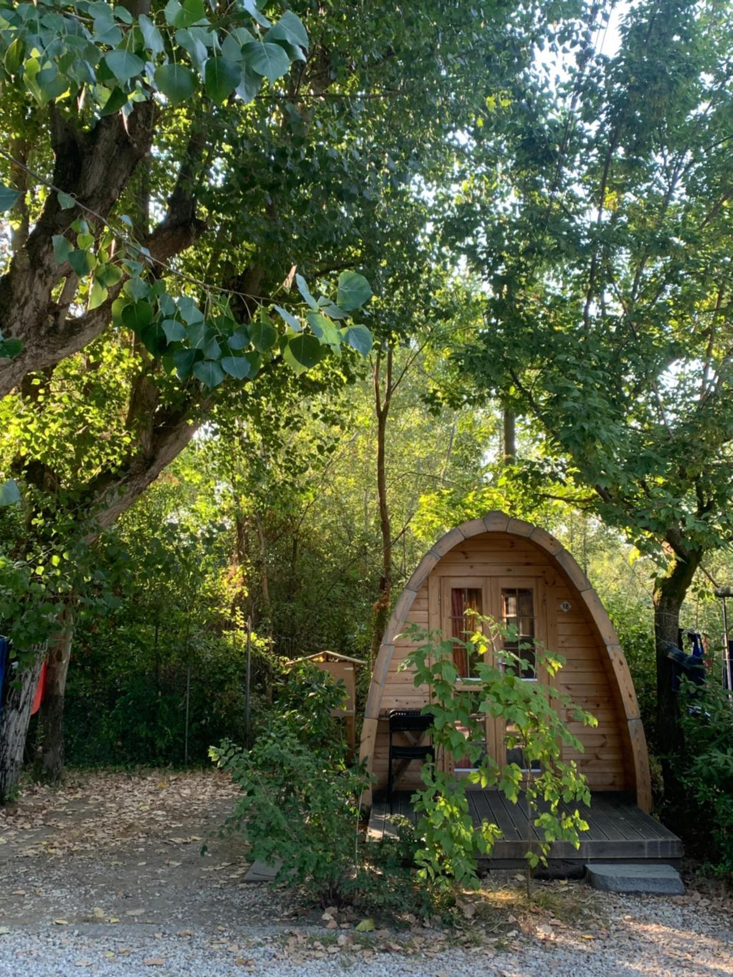 Camping Dolce Sole Marina di Massa Bilik gambar